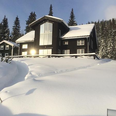 Villa Edvinsvaeg 8 Åre Zewnętrze zdjęcie