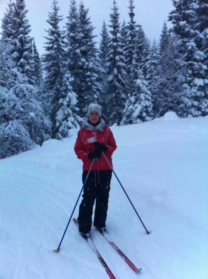 Villa Edvinsvaeg 8 Åre Zewnętrze zdjęcie